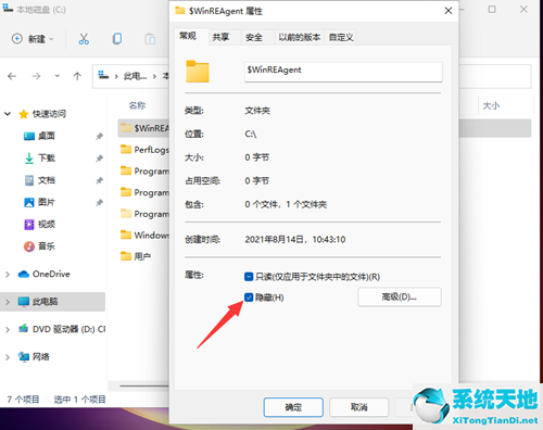 Win11如何查看所隐藏的文件？