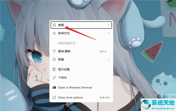 Win11设置桌面软件小图标教程