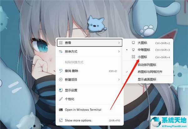 Win11设置桌面软件小图标教程